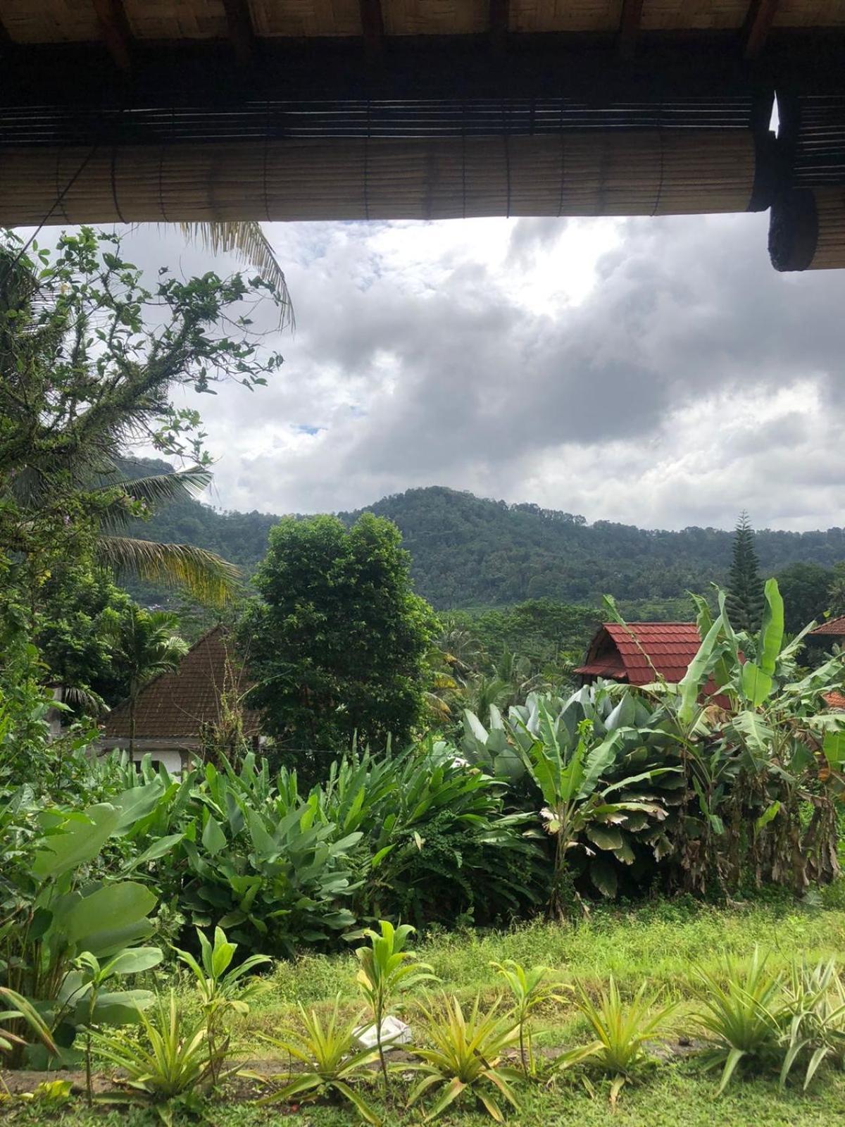 D'Janu Homestay サイドメン エクステリア 写真