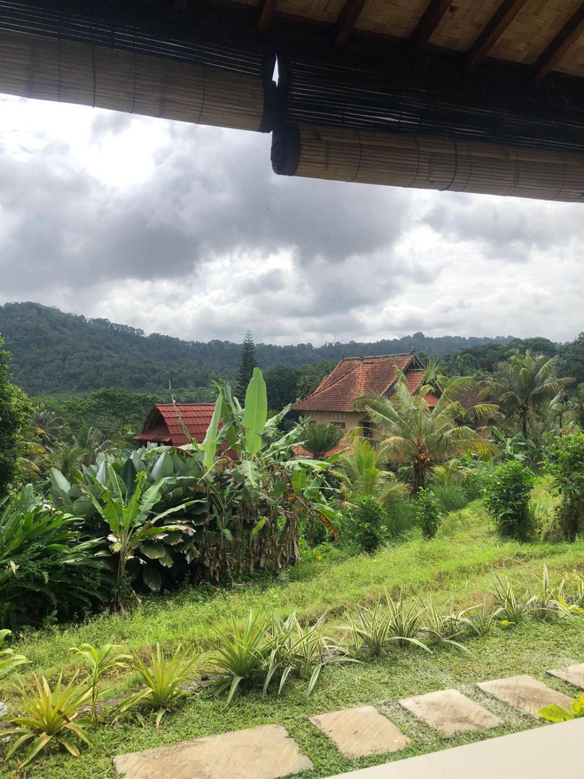 D'Janu Homestay サイドメン エクステリア 写真